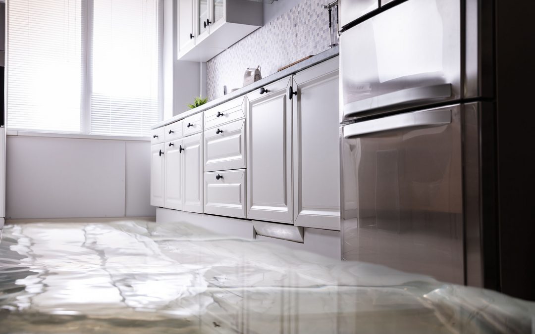 Ricerca perdite d’acqua